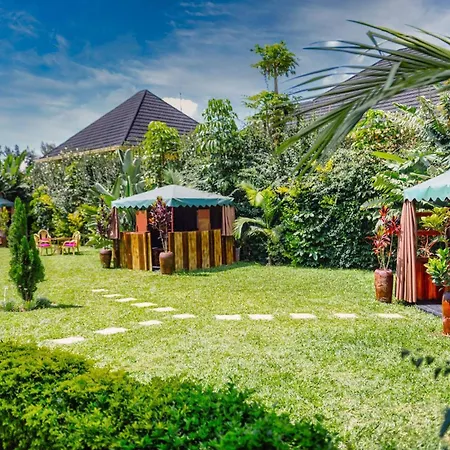 Ezra Boutique Hotel By Casa Africa Ltd-2