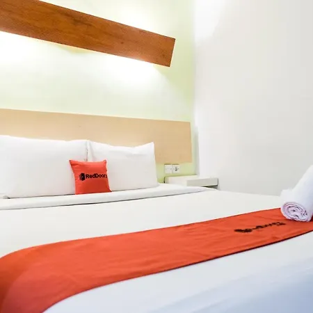 Reddoorz Plus At Sunrise Hotel Sanur-2