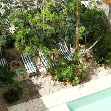 Aldea San Lam - Oasis Of Tulum-3