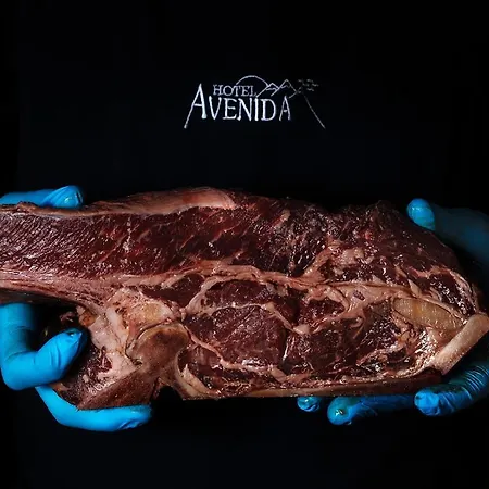 Hotel Avenida Benasque-2