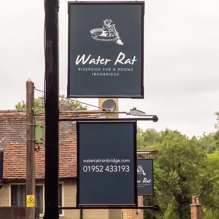 The Water Rat-3