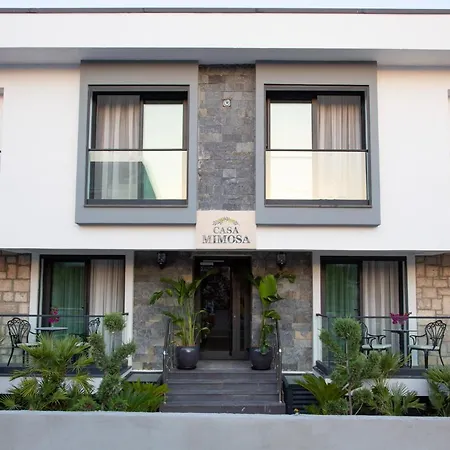 Casa Mimosa Hotel-2