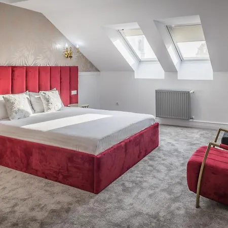 Hotel Vila Central Boutique Satu Mare-3
