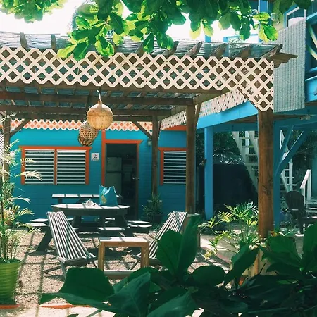 Sea N Sun Guest House-2