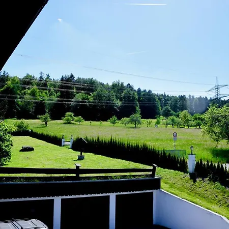 Hotel Bergwiesen - Zimmer mit Balkon oder Terasse-3