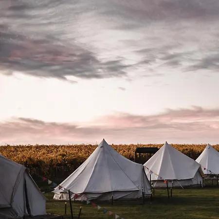 Coonawarra Bush Holiday Park-3