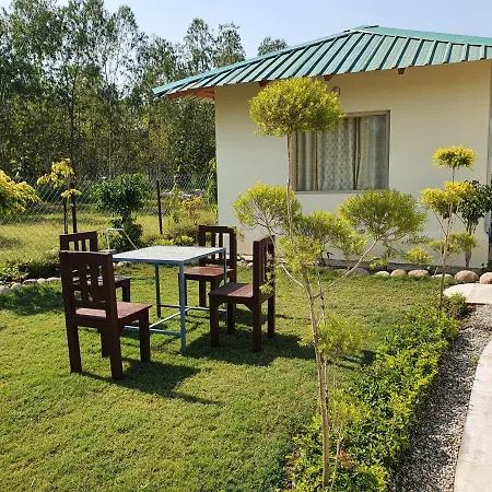 The Tiger Claw Resort-3