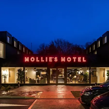 Mollie'S Oxford-2