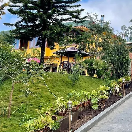 Habba Kadal Kashmiri Heritage Hotel & Hub-3