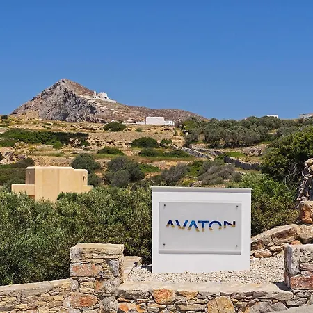 Avaton-2