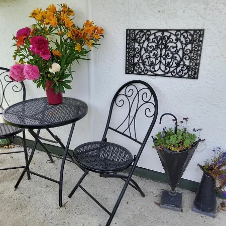 The Empty Nest-2