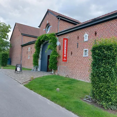 B&B Bloonwinning-3