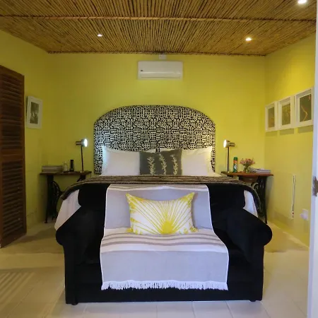 Olive Grove House-3