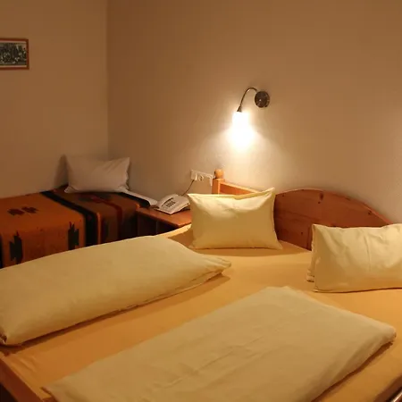Pension Luzenberg-3
