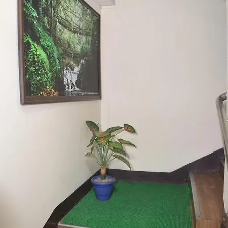 White Rabbit Guest House-3