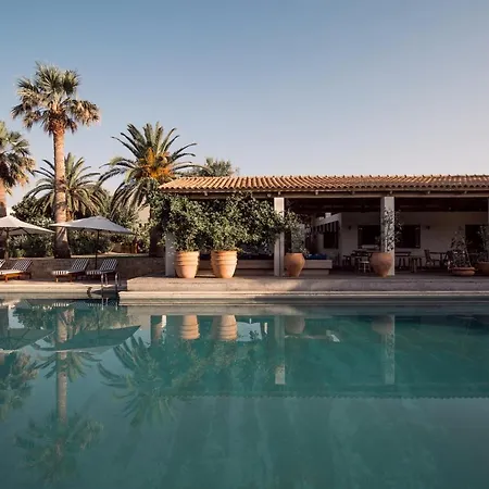 Phaea Cretan Malia, A Member Of Design Hotels-3