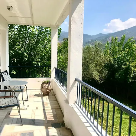 Theodora Hotel-2