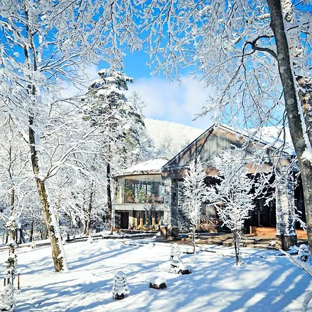 Hotel Sierra Resort Hakuba-3