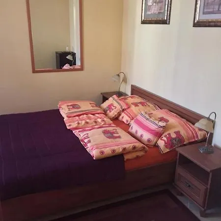 Arany Elefánt Panzió-2