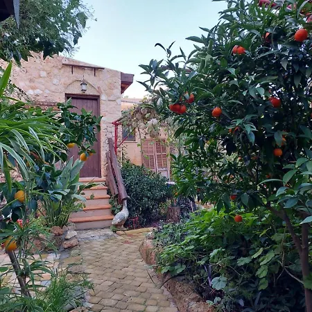 Mystery Garden Guest House-3
