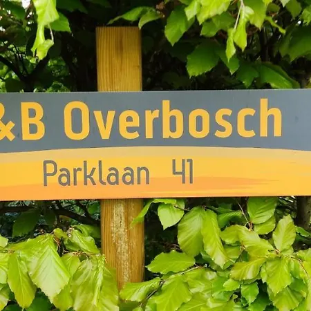 Overbosch-2