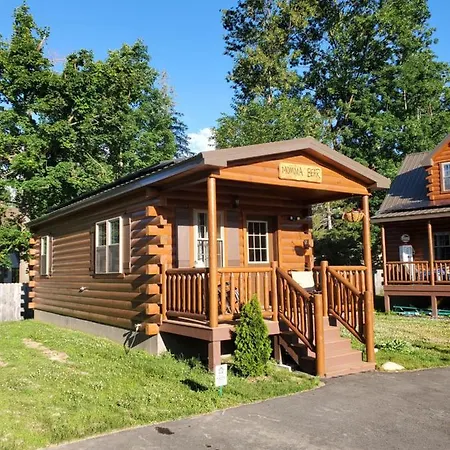 Lincoln Log Cabins-2