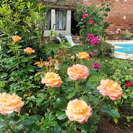 L'Arche De Moissac-3