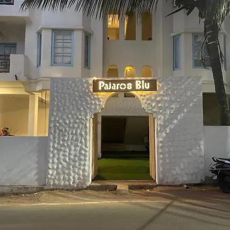Pajaros Blu-3