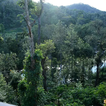 River View Guest House-2