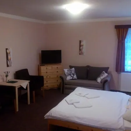 Hotel Garni Belveder-3
