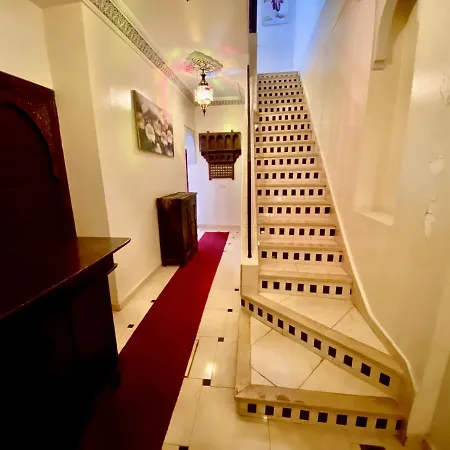 Riad Jibraile-2