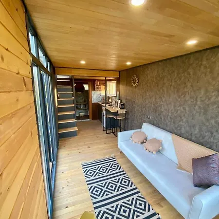 Sapanca Mystic Bungalow & Tiny House-2