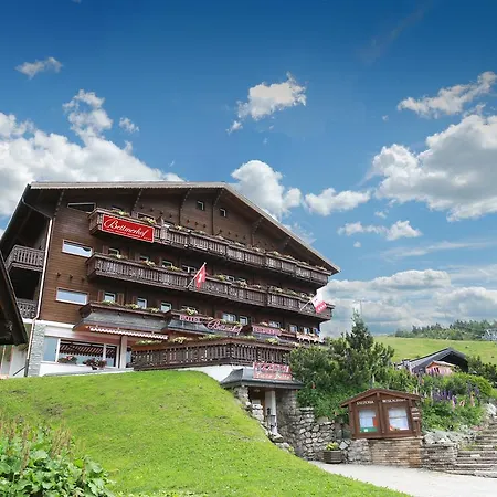 Hotel Bettmerhof-2