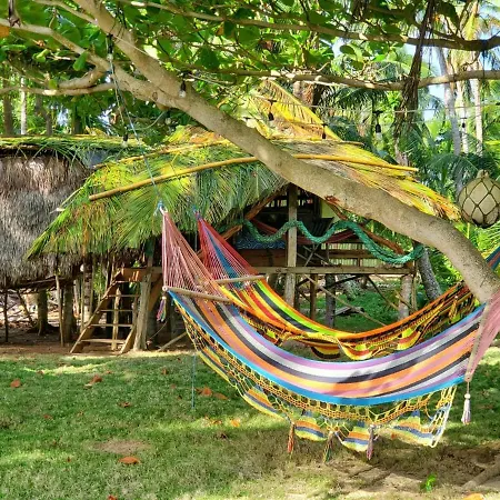 Derek'S Place Eco-Lodge-3