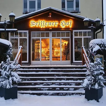 Hotel Seiffener Hof***-3