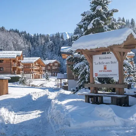 VVF Villages La Belle au Bois à Megève-2