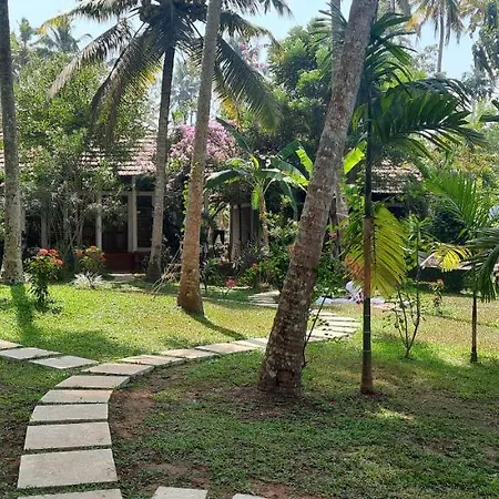 Doctors Ayurveda Heritage-2