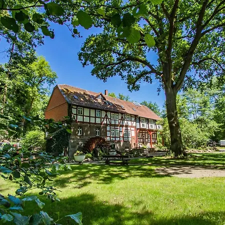 Hohlebach Mühle-3