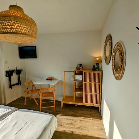 Budget Hotel Vrouwenpolder-3