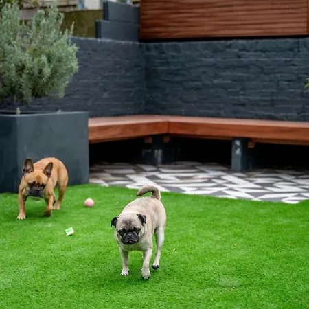 Doghouse Margate-3
