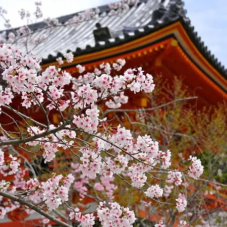 Stay Sakura Kyoto Matsuri-2