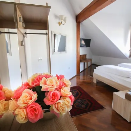 Hotel Vila Katrca-3