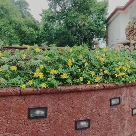 Sun City Resort-3