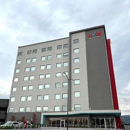 Avid Hotels - Guadalajara Av Vallarta Pte By Ihg-3