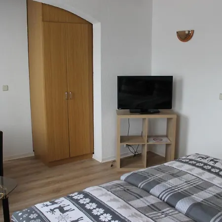 Gasthof&Pension Zum Saalestrand-2