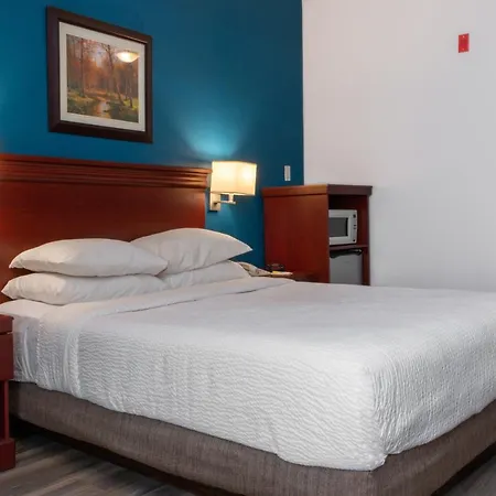 Premier Inn & Suites - Downtown Hamilton-2