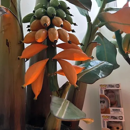 Monkey Tree Stay-2