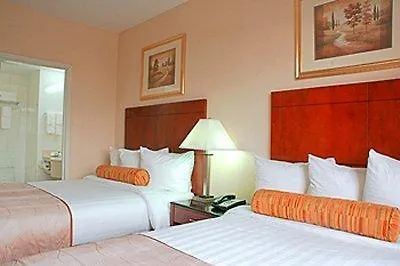 Best Western Plus Arena Hotel-3
