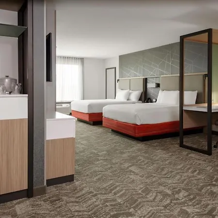 Springhill Suites By Marriott Beaufort-3