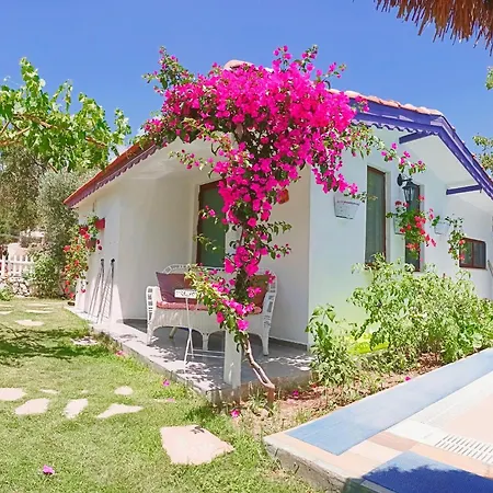 Masal Tatil Evi-3